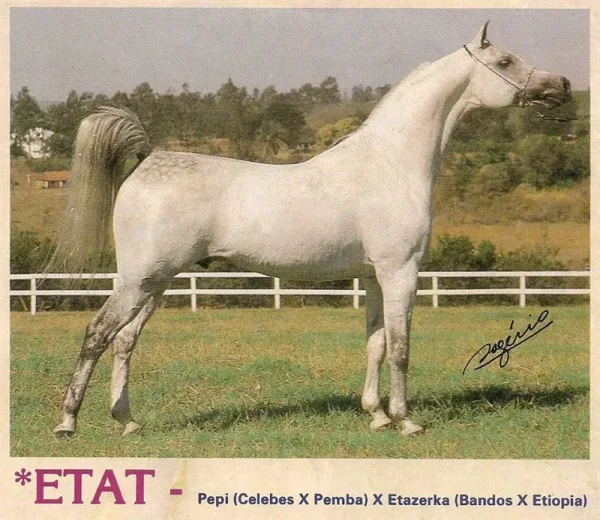 Etat
