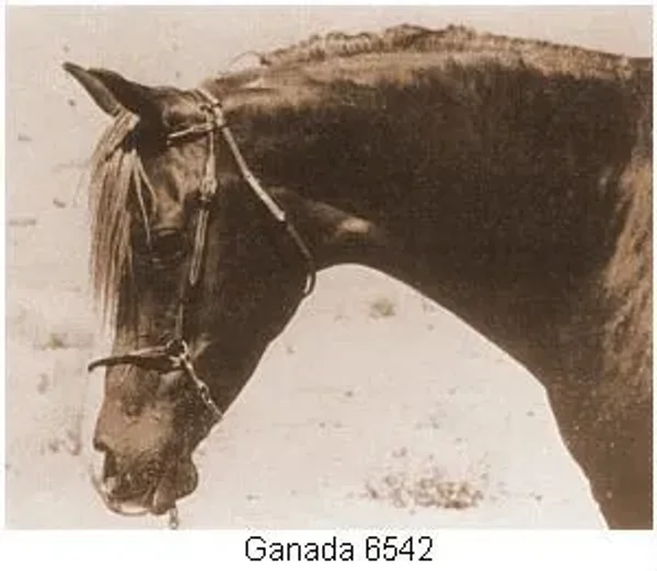 Ganada