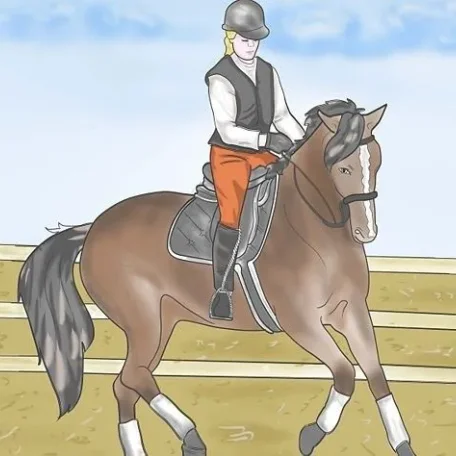 Riding Disciplines and Styles - which one is right for you