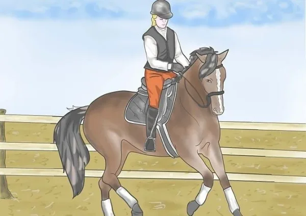 Riding Disciplines and Styles - which one is right for you