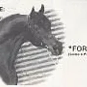 *Fortel