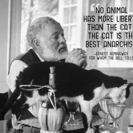 Earnest Hemingway on Cats