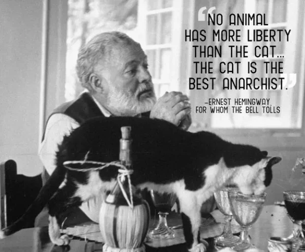Earnest Hemingway on Cats