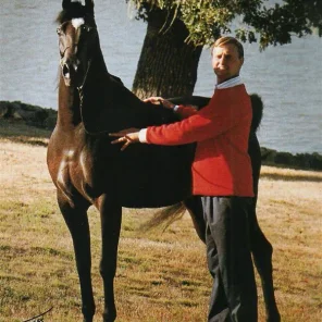 AD Bey Elegance