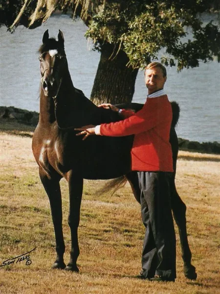 AD Bey Elegance