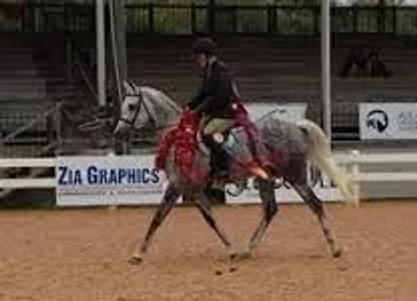 LUXEMERE PATRICIAN
