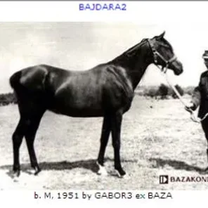 Bajdara