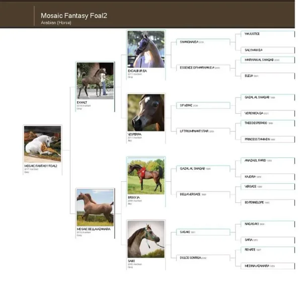 Now this is very interesting Greg and really could work. Exxalt is a super young colt and if he continues to improve as he matures he most definitely could be a great breeding stallion.