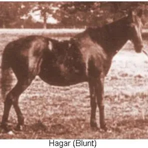 Hagar