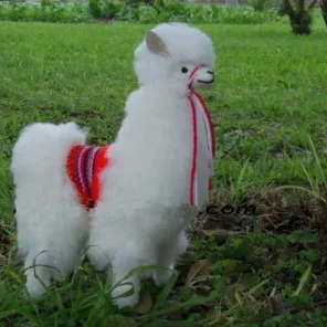 Alpaca vs Llama, What are the Differences??