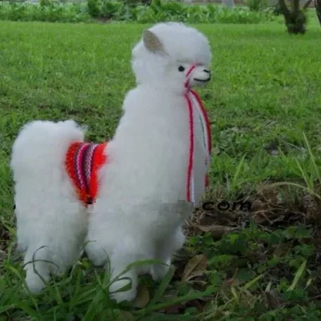 Alpaca vs Llama, What are the Differences