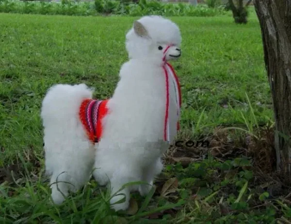 Alpaca vs Llama, What are the Differences