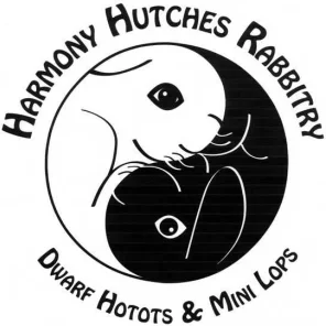 3 Hares Jericho