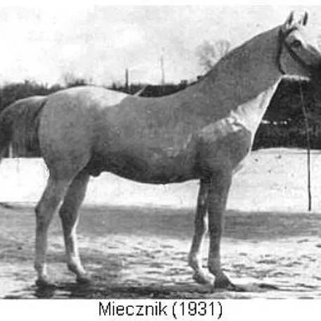 MIECZNIK