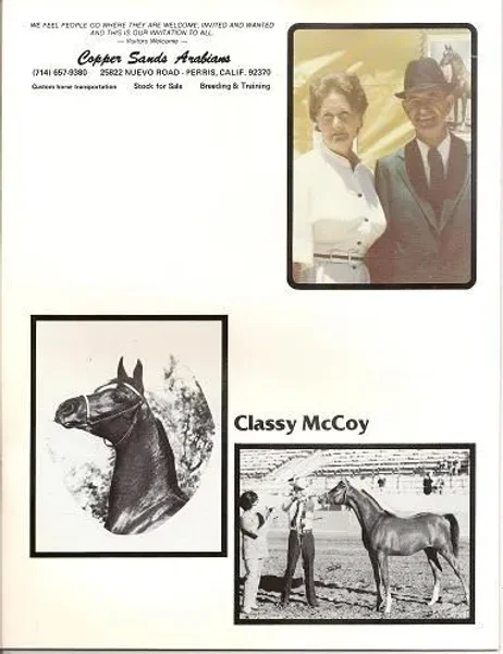 CLASSY MCCOY