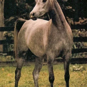 Georddanna