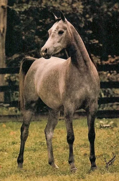 Georddanna