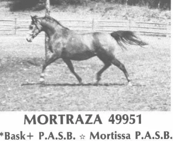 Mortraza