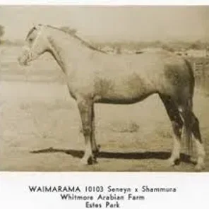 Waimarama