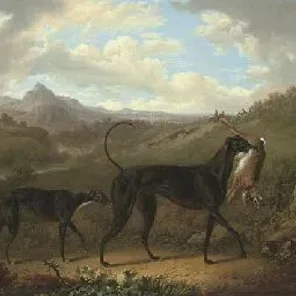 Reigning Cats and Dogs Pt 3