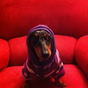 Roxy