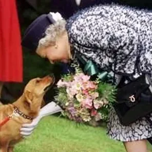 The Englilsh Royals and a Few of their Pets!