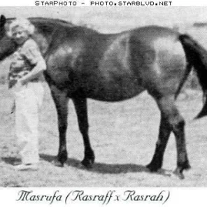 Masrufa
