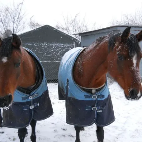 lacey on left ellie on right