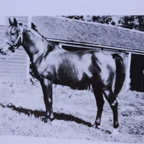 Gamhuri