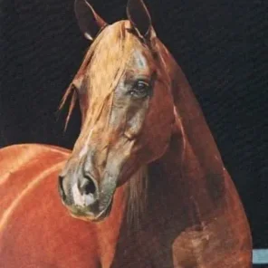 ALNAHR MONA LISA