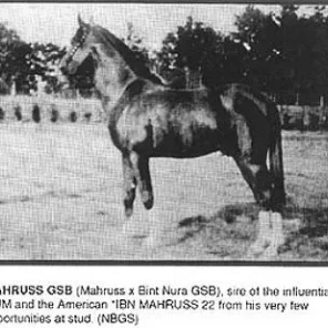 MAHRUSS