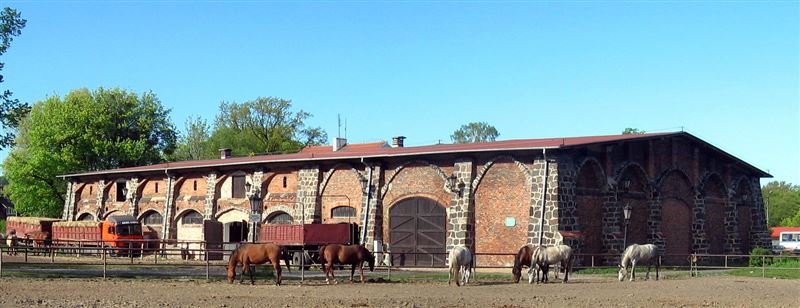 Horse Care - Barns and Stables
