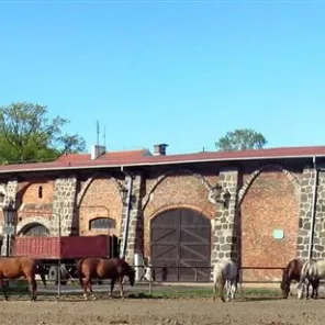 Horse Care - Barns and Stables