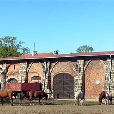 Horse Care - Barns and Stables