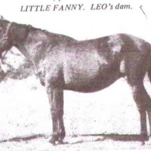 Little Fanny