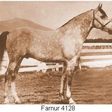 FARNUR