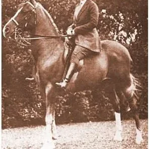 Domoude