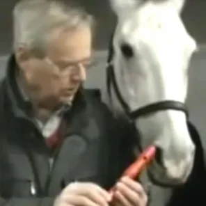 Riotously Funny Horse Plays Flute (And Other Musical Pets)!