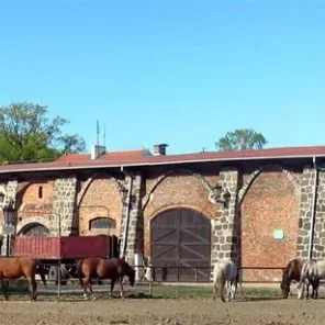 Horse Care - Barns and Stables