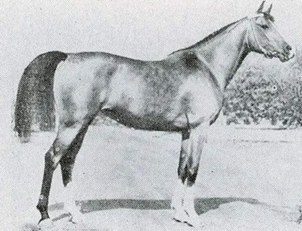 Palba