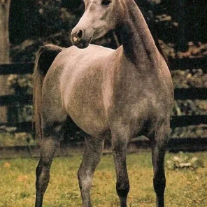 Georddanna