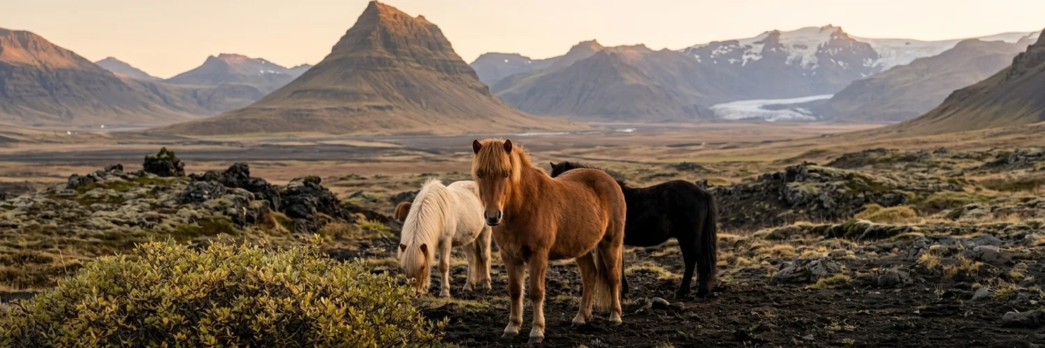 Pony