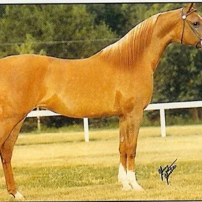 Jewel Drift