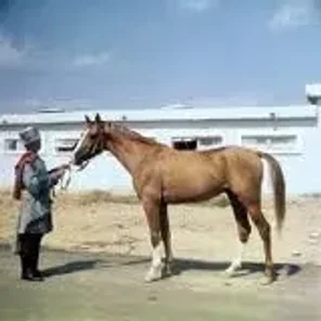 Karabakh