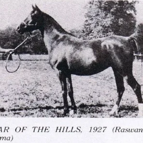 Star Of The Hills