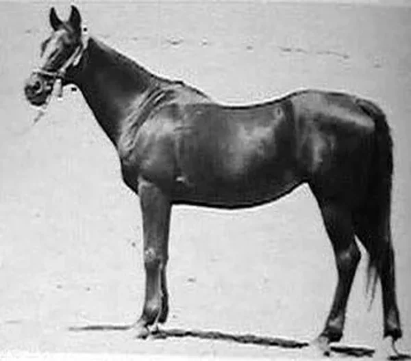 BINT RISSALA
