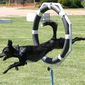 Agility Part 1