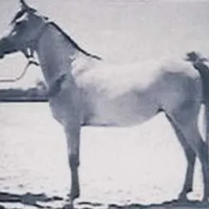 ZEBEDA