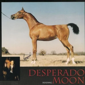 desperados moon