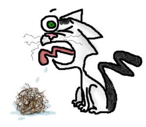 Hairballs